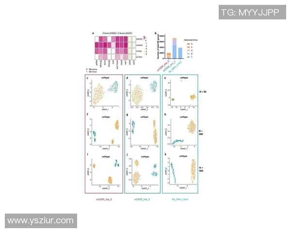 广州排球队团队协作表现的数据分析与提升策略探讨 广州排球队团队协作表现的数据分析与提升策略探讨